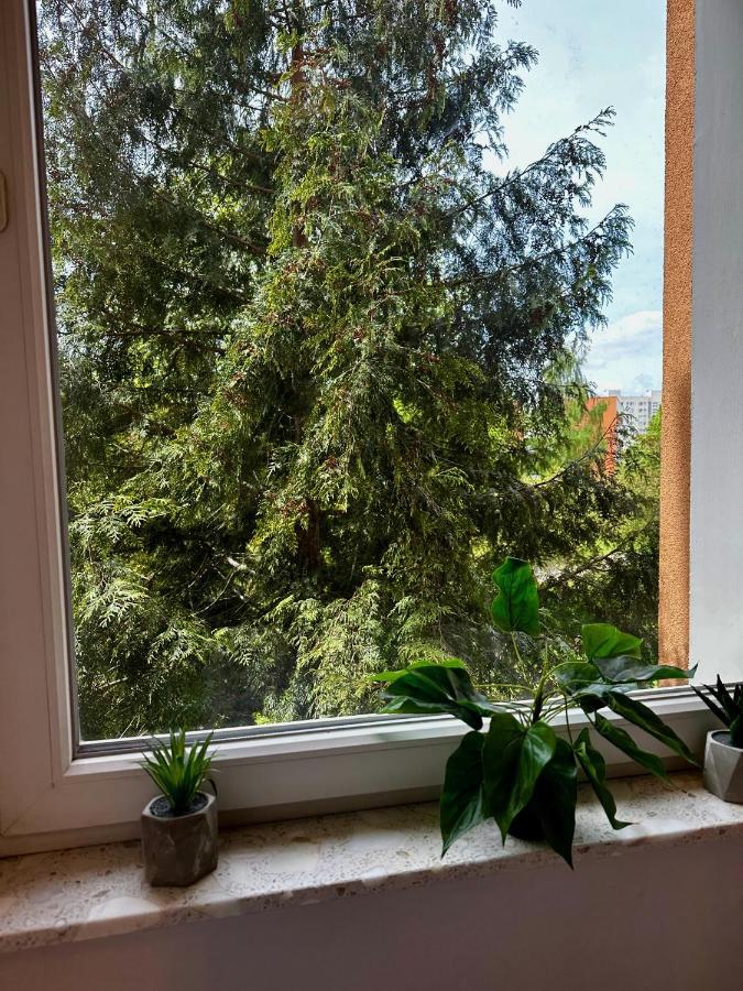 #3 Uroczy Pokoj Niedaleko Morza W Gdansku ! エクステリア 写真
